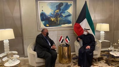 وزير الخارجية لنظيره الكويتي: موقف مصر ثابت ضد أي تدخلات في شئون الدول العربية 