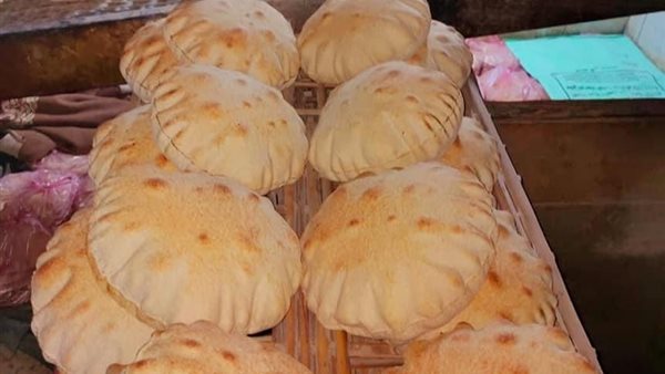 جانب من الحملة