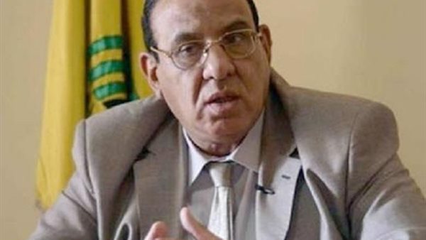 طلعت عبد القوي 