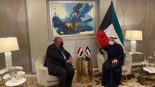 وزير الخارجية ونظيره