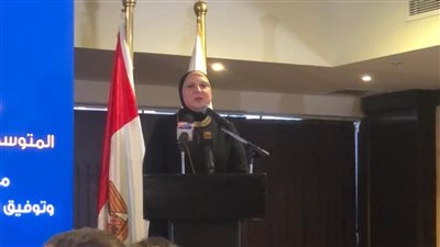 نيفين جامع: القطاع غير الرسمي يستحوذ على 80 % من المشروعات