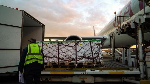  استقبال 115 ألف