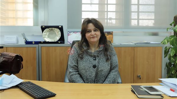  نائب الرئيس التنفيذي