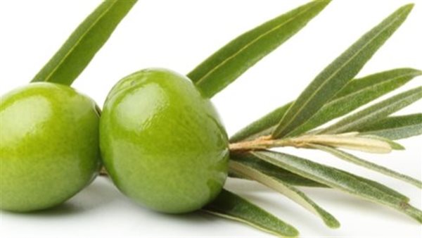 فوائد زيت الزيتون