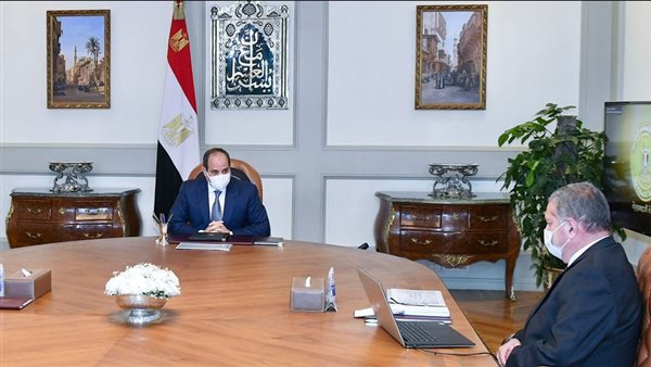 السيسي مع وزير قطاع
