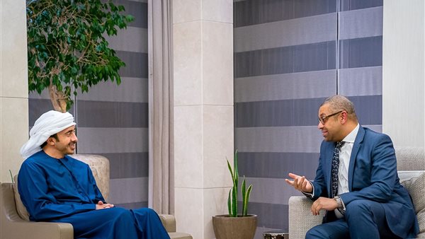 وزير الخارجية الإماراتي