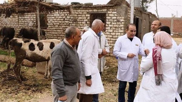 الحملة القومية لتحصين