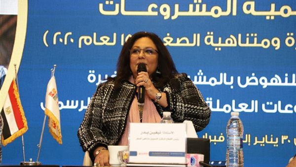 نيفين بدر رئيس القطاع