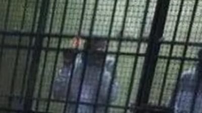 وجبة سمك وشقة بمليون جنيه.. شاهد النفي بقضية رشوة وزارة الصحة يكشف تفاصيل جديدة