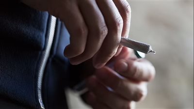 ارتفاع نسبة المرضى النفسيين في اسكتلندا بسبب الماريجوانا