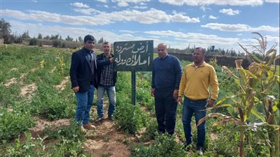 استرداد قطعتي أرض من غير الجادين بمساحة 27 فدانًا بوادي النطرون