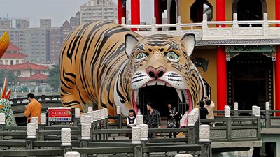 اللون الأحمر يزين الشوارع.. الصين تحتفل بعام النمر