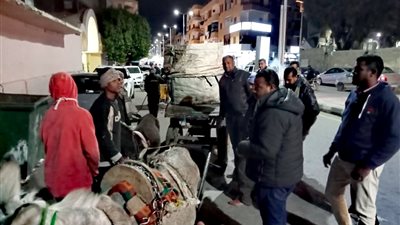 ضبط عربة كارو بالأقصر في حملة إشغالات.. ورئيس المدينة: الشارع ملك للجميع | صور 