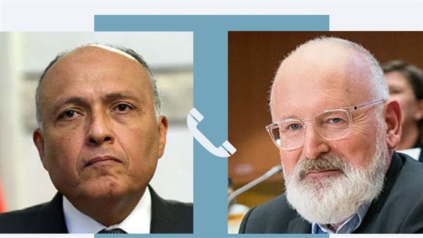 سامح شكري وزير الخارجية