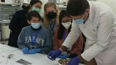 متحف الحضارة يستكمل المدرسة الشتوية الدولية للتدريب على علوم ترميم الآثار | صور 