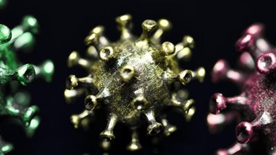 نيوزيلندا تسجل أول إصابة بالسلالة الجديدة لمتحور أوميكرون