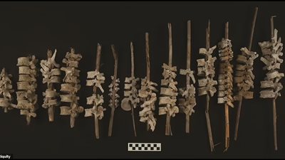 محاولة لإعادة بناء الموتى.. علماء يكتشفون عظام بشرية مثبتة على أعمدة القصب منذ 500 عام | صور