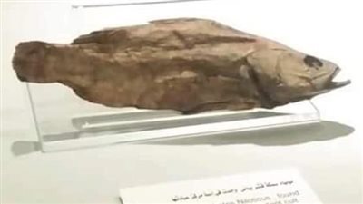 متحف التحنيط يجرى استفتاء شعبيًا على 3 تحف لاختيار قطعة فبراير | صور