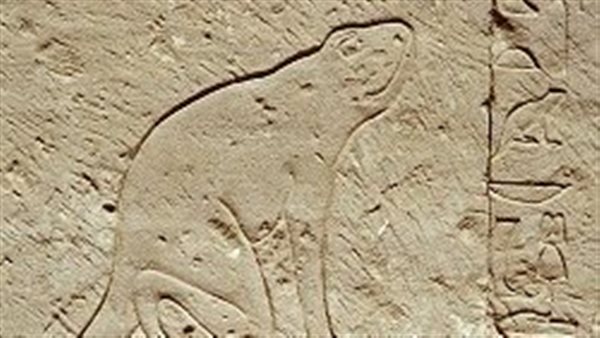 المعبودة حقات 