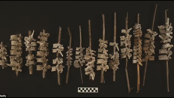 عظام بشرية لموتى