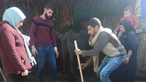 جانب من المشروع 