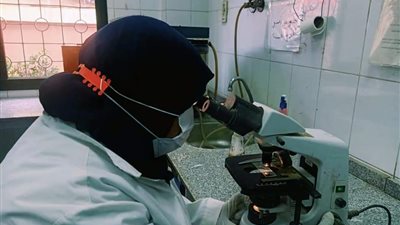 الكشف الطبي على 1350 مواطنًا خلال قافلة لمديرية الصحة بالمنوفية