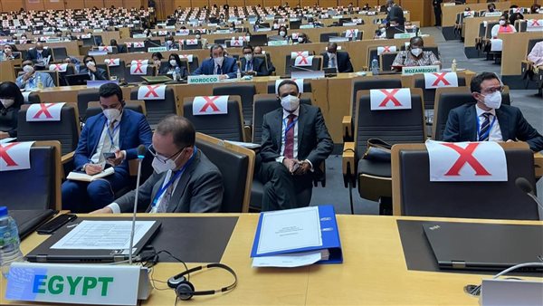 السفير محمد جاد يرأس