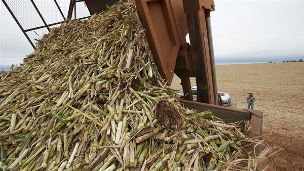 المخلفات الزراعية