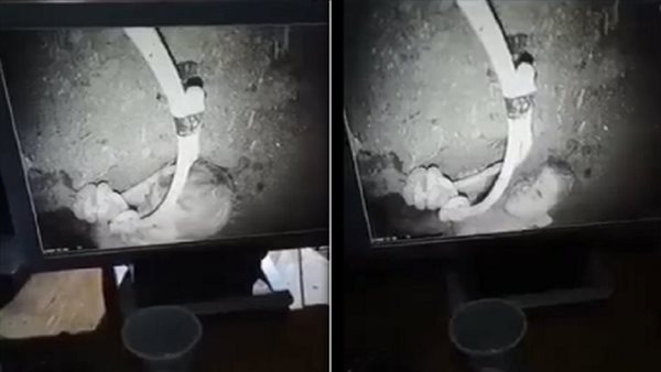 الطفل ريان في البئر