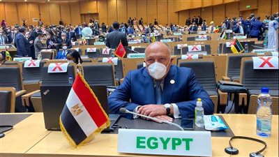شكري يمثل مصر في قمة الاتحاد الإفريقي بأديس أبابا | صور