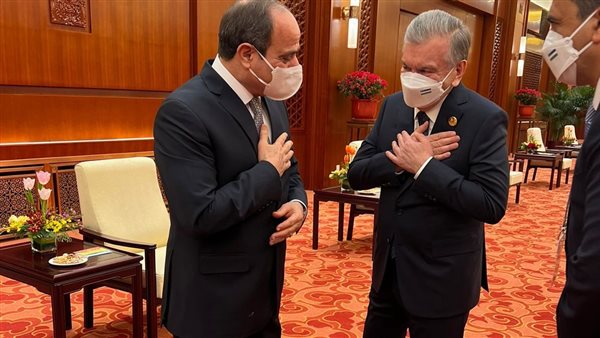 جانب من محادثات السيسي