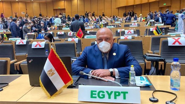 شكري يمثل مصر في