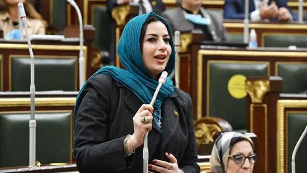 النائبه ايات الحداد