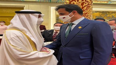 أمير قطر يلتقي محمد بن زايد في بكين | فيديو