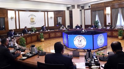 الحكومة: وقف دعم التموين أو الخبز لمن يثبت تعديه على الأراضى الزراعية