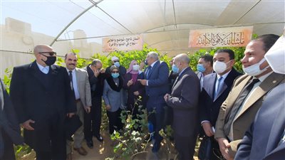 وزيرة التضامن الاجتماعي تتفقد واحة إنتاج الحرير في الوادي الجديد 