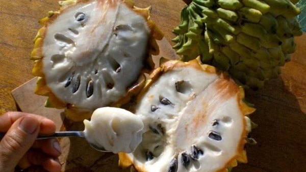 فاكهة القشطة