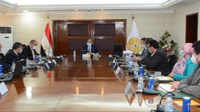 التنمية المحلية: توجيهات رئاسية بدعم القطاع الخاص وعرض خريطة للإمكانيات الاقتصادية بمحافظات الصعيد