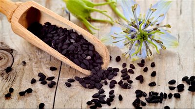 أضرار وفوائد حبة البركة للمرضعة تساعد الجهاز المناعي للأم والطفل