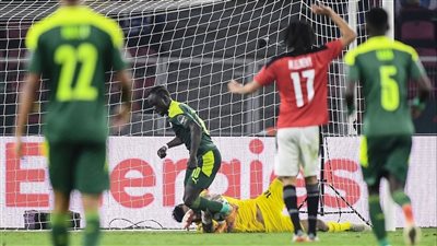 حسرة رئيس السنغال بعد إهدار ماني لضربة جزاء | فيديو