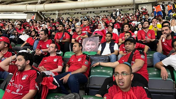 النائب طارق الخولي