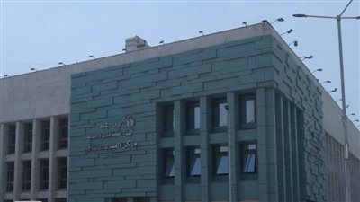 جلسات نقاشية وعروض مسرحية.. أحدث الفعاليات الثقافية بالجيزة