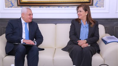 التخطيط: عمليات المؤسسة الإسلامية في مصر بلغت 7.5 مليار دولار