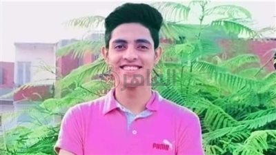 تفاصيل مقتل طفل وإصابة شقيقه على يد سائق ميكروباص بالعريش