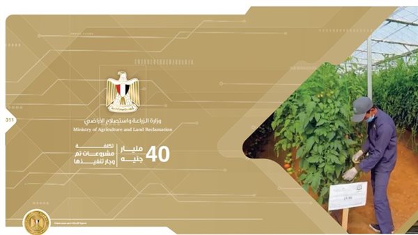 انجازات قطاع الزراعة