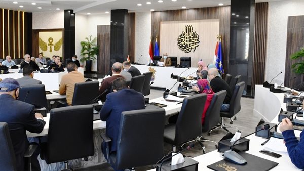 محافظ أسوان