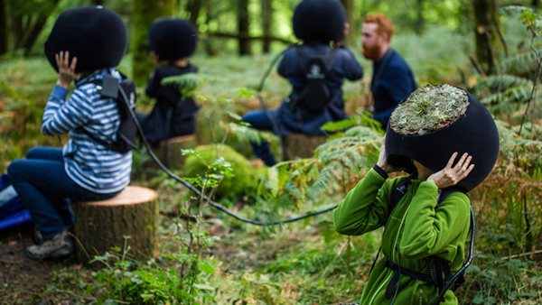 الغابات في الواقع