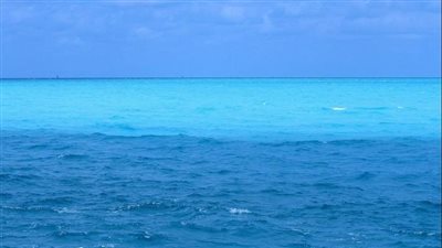 يشارك فيها السيسي.. ما هو الاقتصاد الأزرق الذي تناقشه قمة محيط واحد؟ 