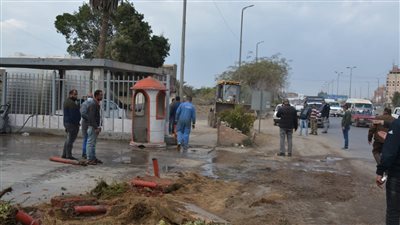 إزالة 20 حالة تعدٍ على حرم الطريق الزراعي بالقليوبية