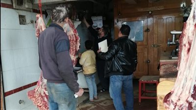 تحرير 135 محضرًا تموينيًا وضبط لحوم مذبوحة خارج السلخانة بكفر الشيخ 